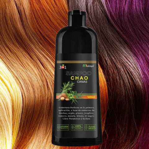Shampoo Chao Canas - 🎯 ¡Elimina las canas de forma natural y recupera tu color sin tintes ni químicos!