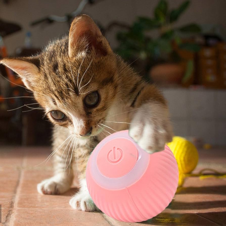 SmartPet360™ - Diversión y estimulación para tu mascota... ¡sin que tengas que mover un dedo!