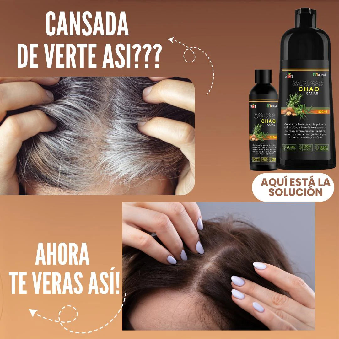 Shampoo Chao Canas - 🎯 ¡Elimina las canas de forma natural y recupera tu color sin tintes ni químicos!