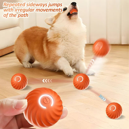 SmartPet360™ -  Diversión y estimulación para tu mascota... ¡sin que tengas que mover un dedo!